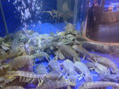 -協成海鮮火鍋(老店)