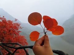 -秦岭终南山世界地质公园翠华山景区