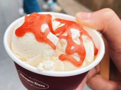 夏威夷果仁冰淇淋-哈根达斯(深圳海岸城店)