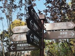 -洋湖国家湿地公园