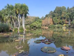 -中国科学院西双版纳热带植物园