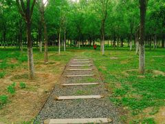 -东郊湿地公园