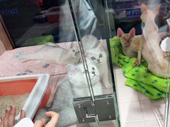 -FAELING PETS美天灵宠物(富力广场店)