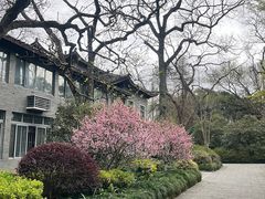 -杭州植物园