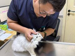 -爱妮康宠物医院·干细胞免疫细胞·肿瘤·心脏(张江店)