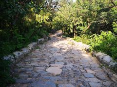 -阳台山自然风景区