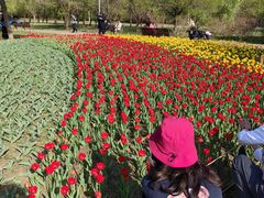 -长春公园(普阳街道)