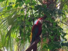 -广州长隆国际大马戏