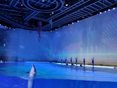 -上海海昌海洋公园