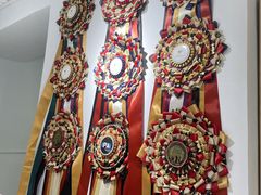 -青奢宠物·青奢猫舍