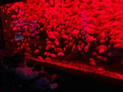 -多彩贵州城极地海洋世界