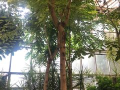 -石家庄市植物园