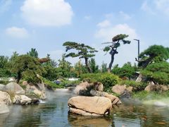 -罗红摄影艺术馆