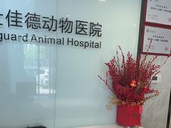 -北京派仕佳德动物医院·超导核磁·CT·神经科·骨科·内外科·急重症管理中心