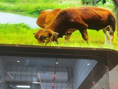 -湘当有饭剁椒鱼头(昆山招商花园城店)