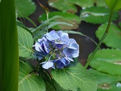 -绣园·茶食宴(湘绣博物馆店)