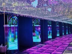 -上海梵高星空艺术馆(南京路旗舰店)