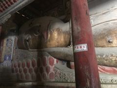 -张掖大佛寺景区