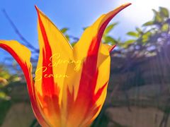 -国家植物园南园