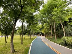 -眉山湿地公园(东坡区)