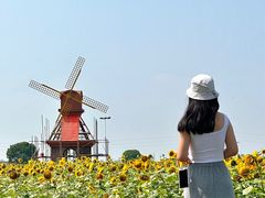 -杭州湾海上花田景区