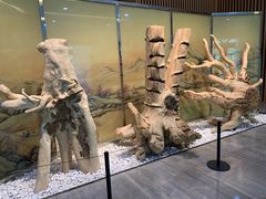 -香市公园-中国沉香文化博物馆