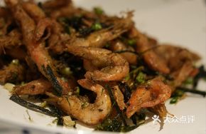Sea White Shrimp with Sea Moss