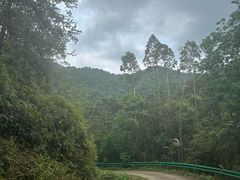 -桂山风景旅游区