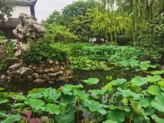 -东山雕花楼