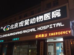 -北京观赏动物医院·24小时大型综合·猫专科·异宠专科