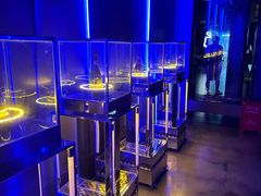 -STELLAR NIGHT CLUB星际酒吧(明发商业广场店)