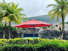 -新加坡水上探险乐园