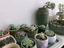 -榕树上·瑜伽普拉提