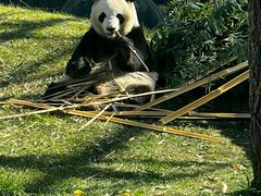 -鄂尔多斯野生动物园