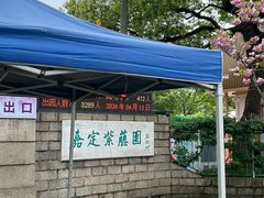 -嘉定紫藤园
