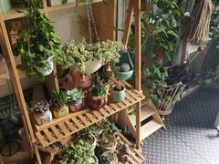-Kitchen·Y洋厨房西餐厅(王府壹号店)