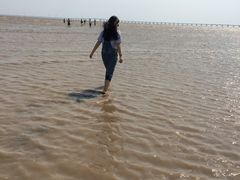 -南汇嘴观海公园