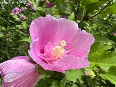 -廊坊文化艺术中心