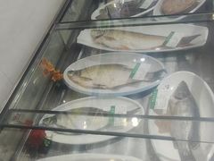 -掌勺人鱼馆(朝阳镇店)