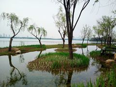 -渤公岛生态公园