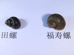 -八0一首创霍老七老螺蛳(万东镇龙景园店)