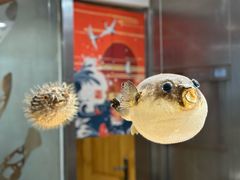 -天正河鲀·河豚亭(大连店)