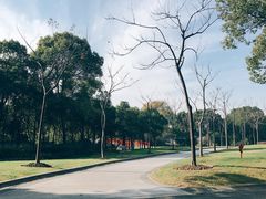 -东方绿舟景区