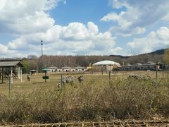 -哈尔滨北方森林动物园