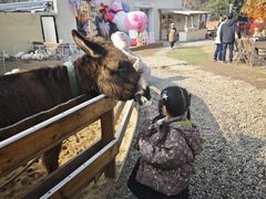 -HERRE·FARM 赫尔露营农场·团建聚会包场