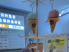 -野人先生现做冰淇淋(北京环宇荟店)