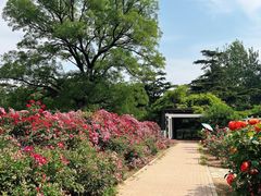 -国家植物园南园