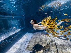 -三亚海昌梦幻海洋不夜城