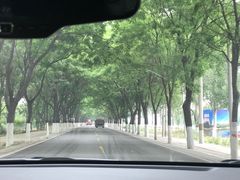 -御林古桑园