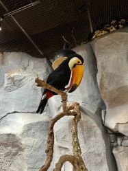 -Zoolung Zoolung动物主题公园(海信广场店)